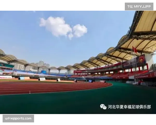 都灵主场升级草皮系统,提升比赛质量 都灵主场升级草皮系统,提升比赛质量
